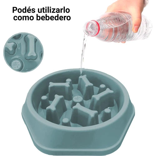 Plato Anti Anciedad