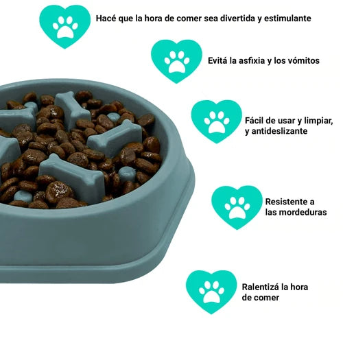 Plato Anti Anciedad